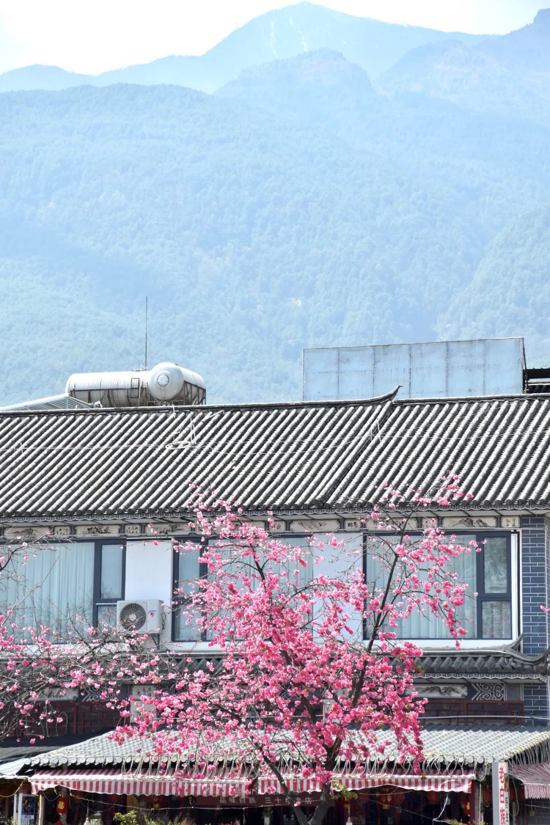 大理古城全天 · 松弛收尾