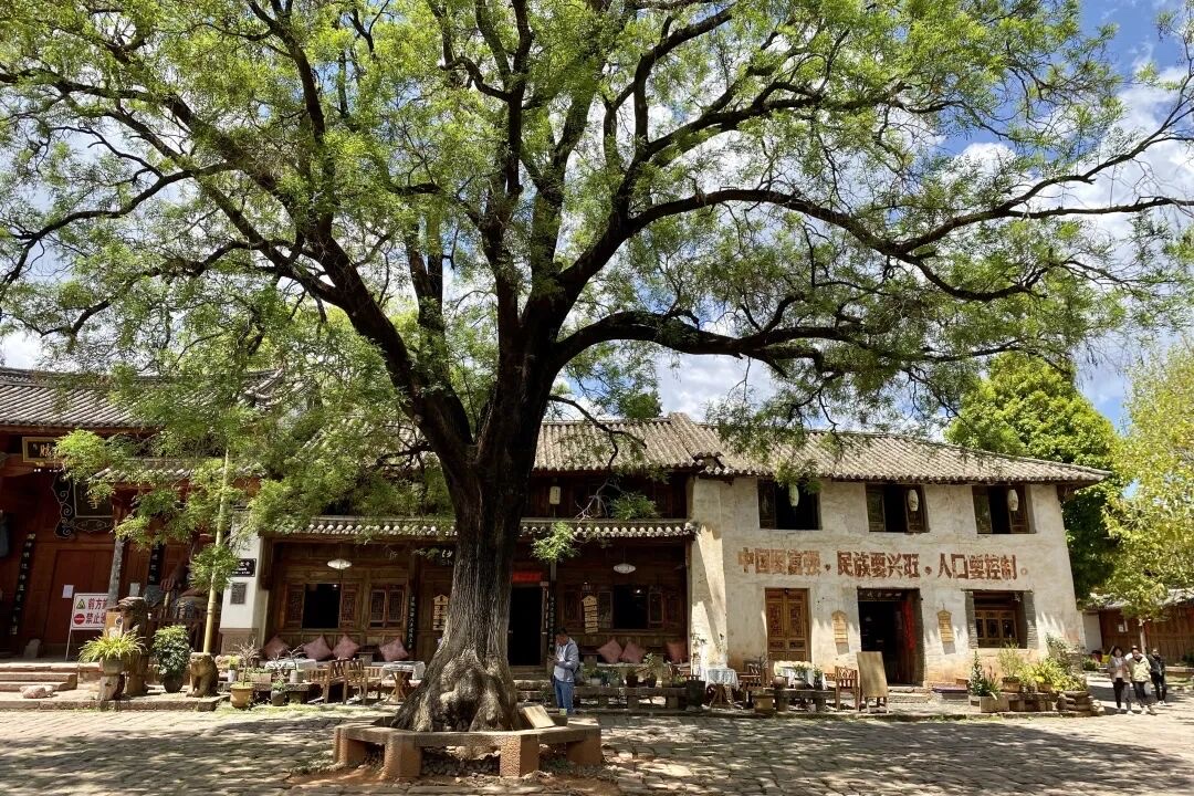 丽江三义国际机场（进出港）