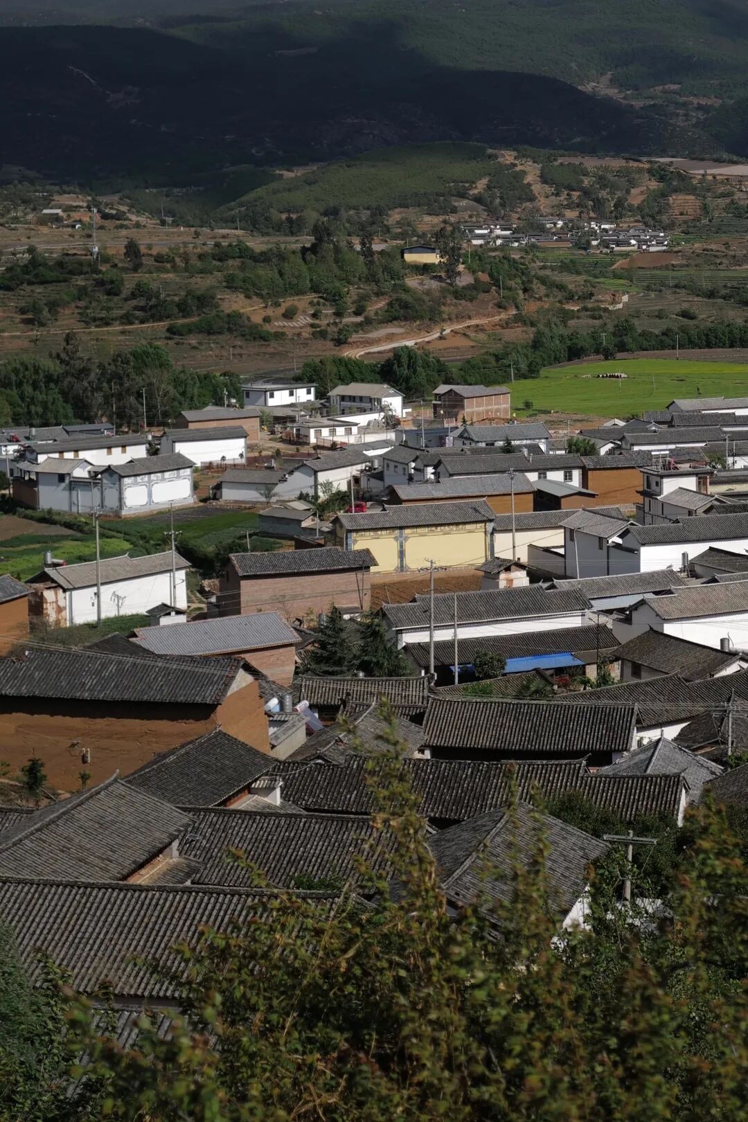 沙溪