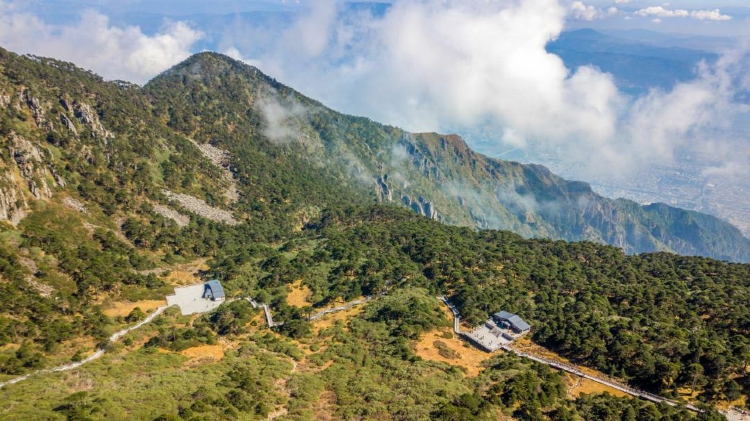苍山