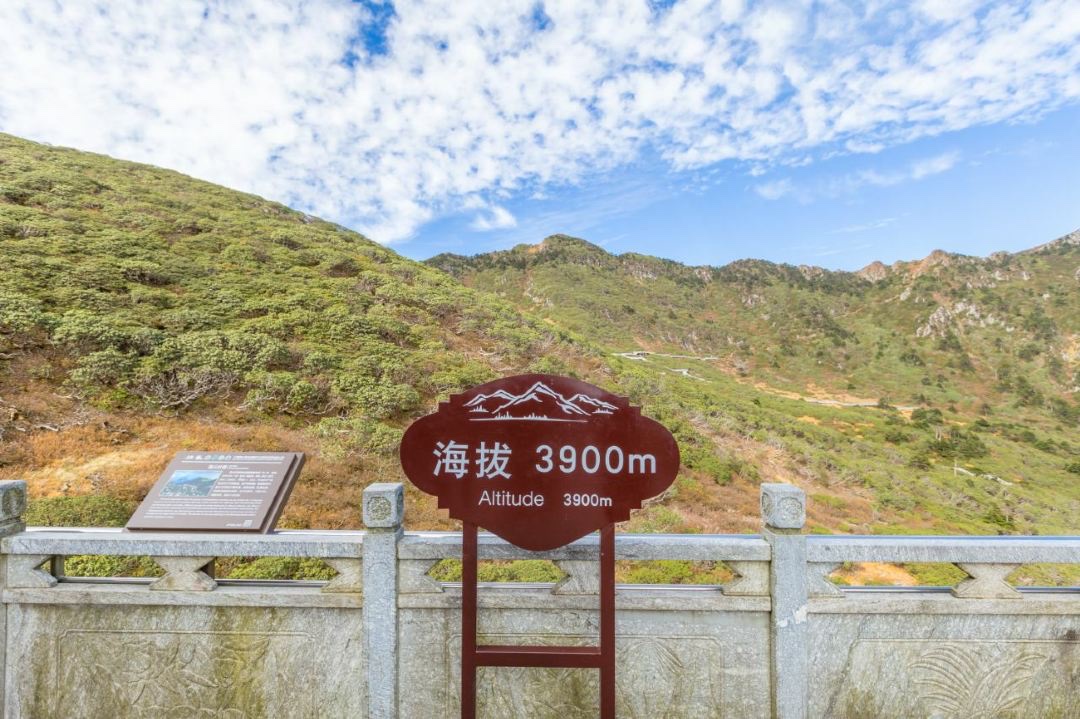 苍山