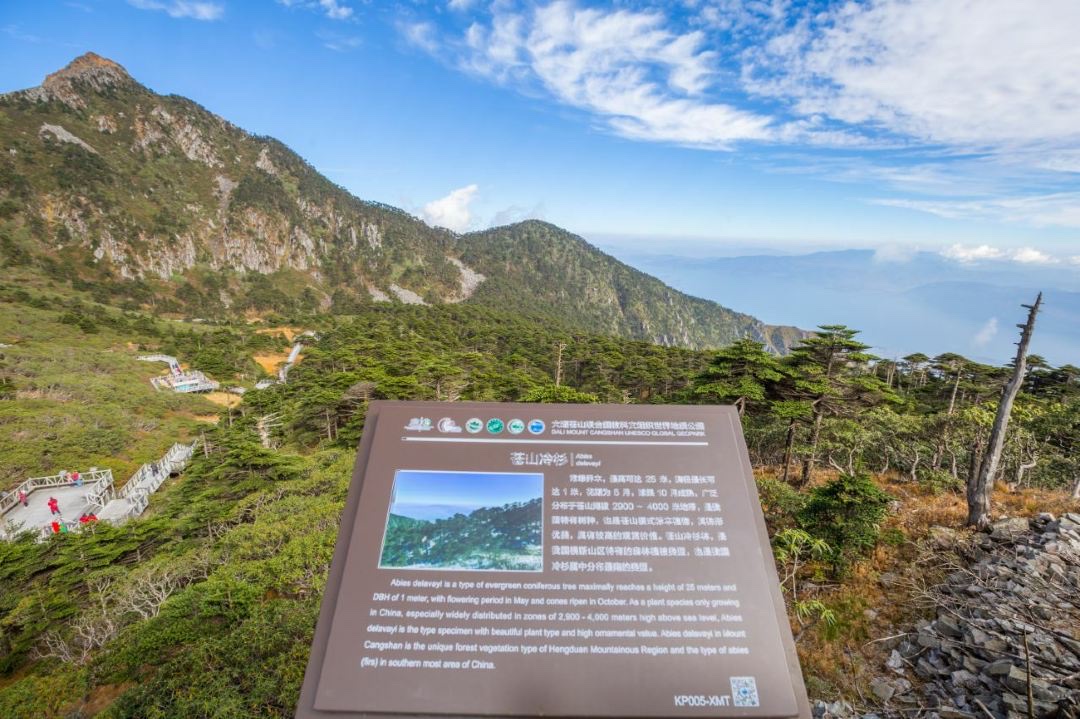 苍山